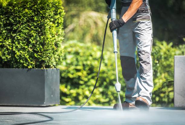 Best Sidewalk and Walkway Pressure Cleaning in Fabrica, TX