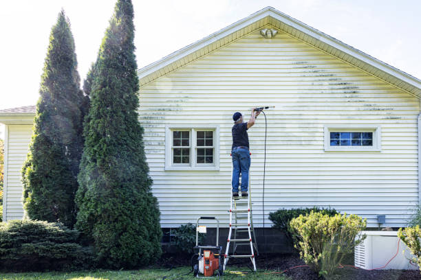 Best Residential Pressure Washing in Fabrica, TX